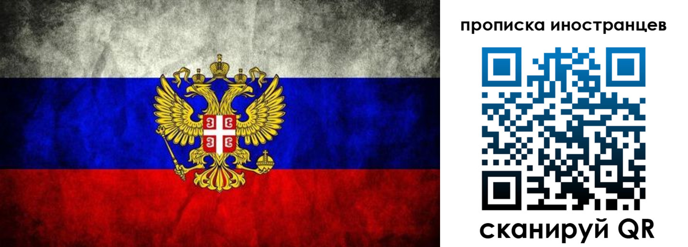 прописка иностранных граждан в Светлом