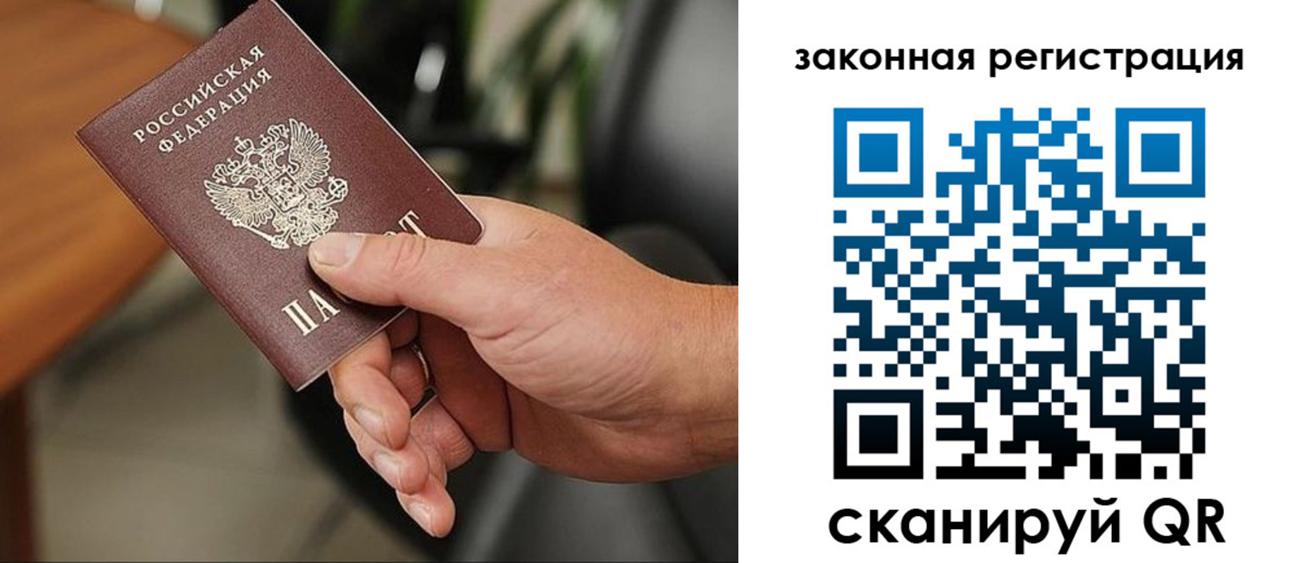 временная регистрация 2025 в Светлом